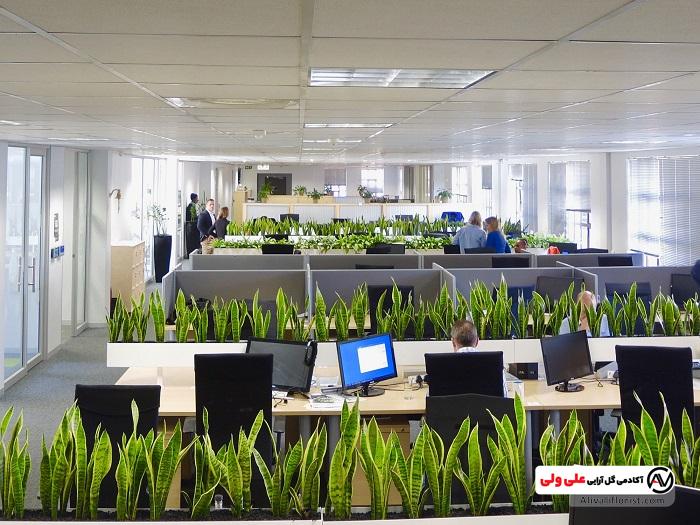 نورپردازی برای گیاهان در محل کار