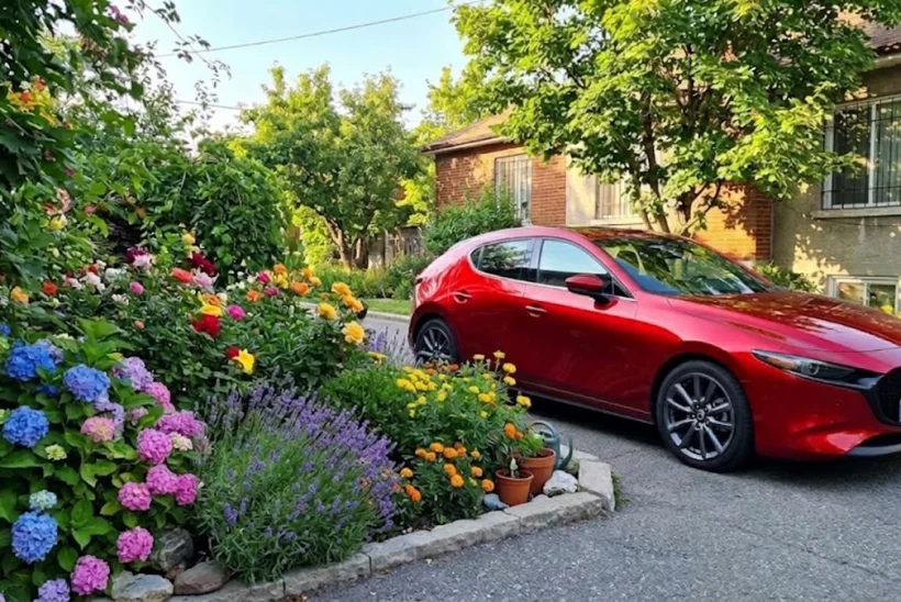 معرفی 30 گل تابستانی و باغچه ای