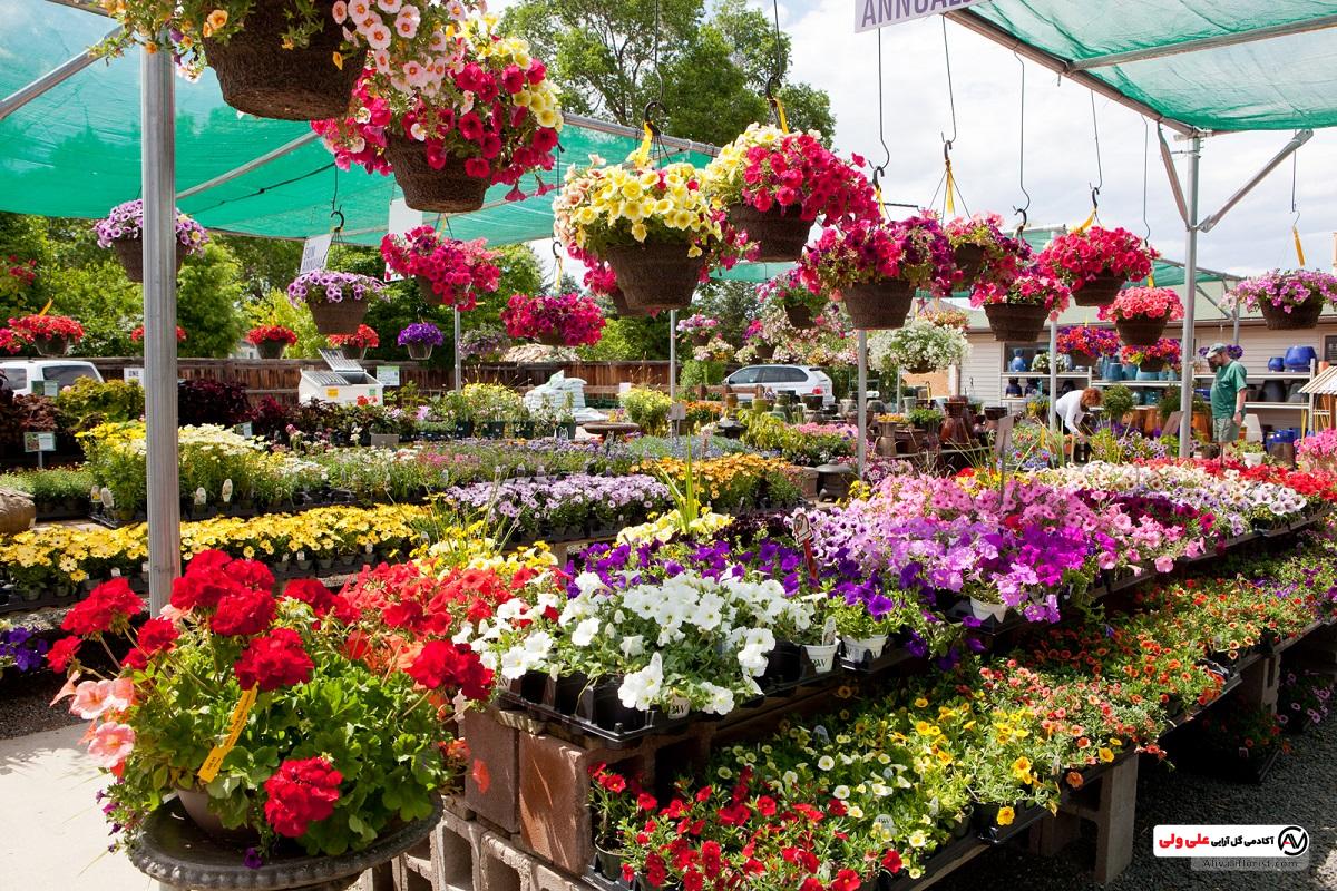 بازار گل تهران + جزئیات آدرس دقیق و ساعات کاری بازار گل ها